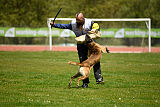 G'Dracarys Force Canina