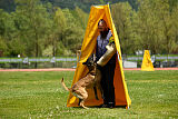 G'Dracarys Force Canina
