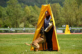 G'Dracarys Force Canina