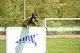 G'Dracarys Force Canina