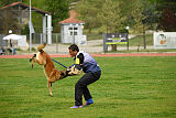 Indy vom Causa Nostre Letitia