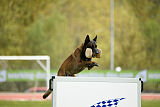 Patriot van de Berlex-Hoeve
