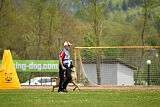 S'Leo vom Gsiberger