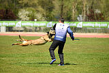 S'Leo vom Gsiberger