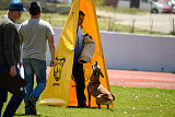 Uma Anubis the Second